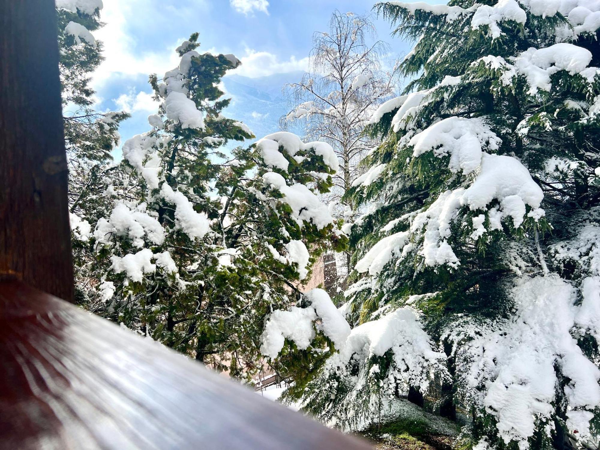 Chalet Bormio Terme Dış mekan fotoğraf